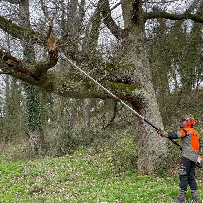 TREE REMOVAL.  Can I do it myself or should I hire a professional?