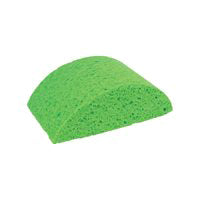 16587 Turtle Back Sponge