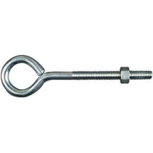 N221-283 EYE BOLT W/NUT 3/8X6IN ZINC