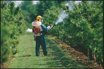 Stihl Backpack Sprayer Rental (0)