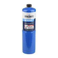 305558 DISPOSE PROPANE CYLIND