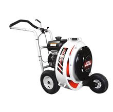 Rent a Blower, Walk Behind, 9 HP