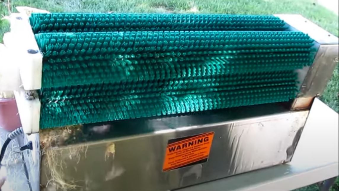 Rent Corn De-Silker, 4 Brush, 1/3 HP Motor, Water (2)