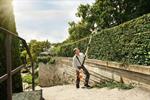 Hedge Trimmer, Cordless, Telescopic