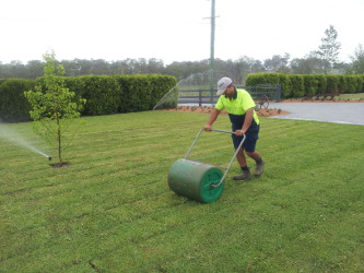 Grass roller 2024 machine