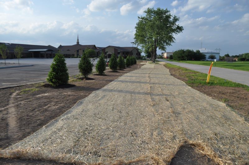FAQ and Tips On Seeding Grass & Putting Down Straw or Straw Matting. Large or Small Areas.