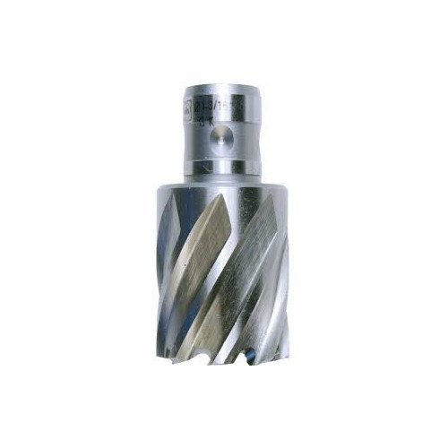 SLUGGER HSS 2-1/4”x2" cutter