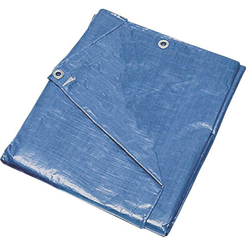 BLUE TARP 20X30 LIGHT DUTY