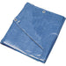 BLUE TARP 20X30 LIGHT DUTY