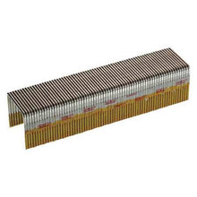 STAPLE CONSTRN 1 X 1 16 P13BAB