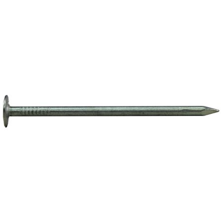 132139 EG ROOF NAILS 25#  2"