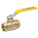 107-822/812NL BALL VALVE HD 3/8IPS
