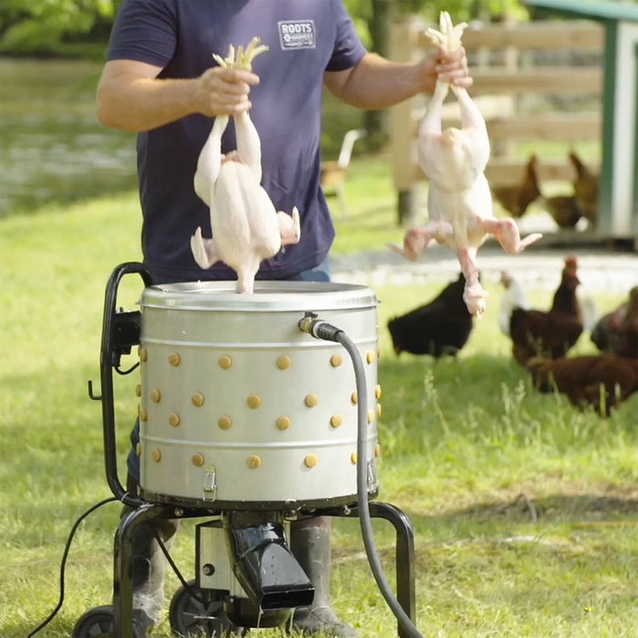 Rent a Chicken Plucker, 20" Drum