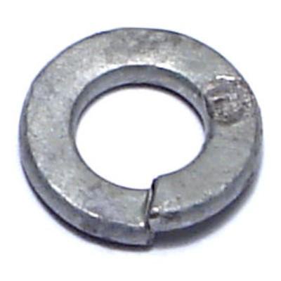 1/4 Sp Lock Wash HDG