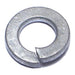 5/16 Sp Lock Wash HDG