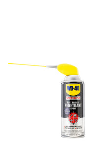 300004   LUBRICANT PENETRATE WD-40 11OZ