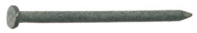3 1/2" (16d) Galv Common Nails - 5lb
