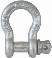 42559 ANCHOR SHACKLE SCRW PIN 7/8