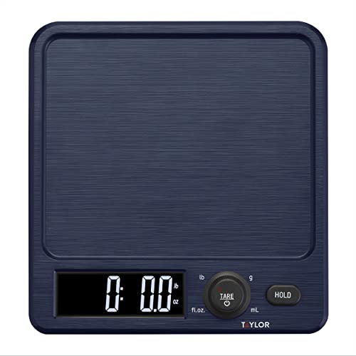 5280827  SCALE KITCHEN ANTIMICROBL NAVY