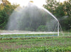 Rent a Sprinkler on 6' Stand, 2" High Flow (1)