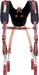 primary_image