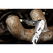 alternate_image