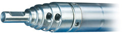 Mole Rental 3
