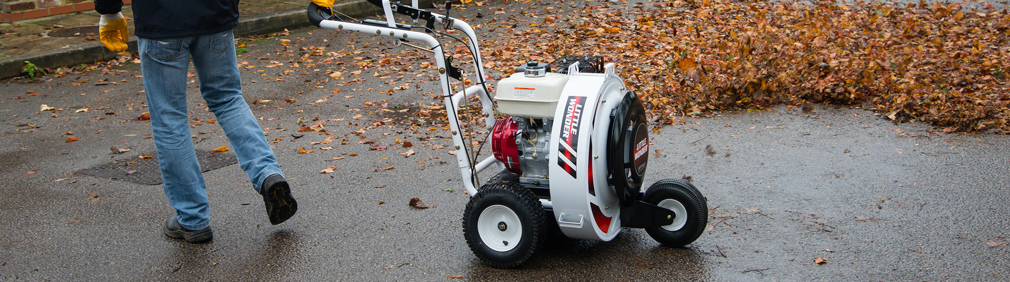 Rent a Blower, Walk Behind, 9 HP