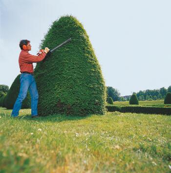 Rent a Hedge Trimmer, Gas Powered 24" (0)