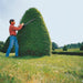Rent a Hedge Trimmer, Gas Powered 24" (0)