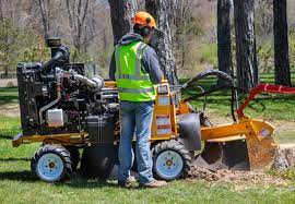 .Bandit 2250XP stump grinder 44 HP Diesel 4x4 w/ grade blade (2)