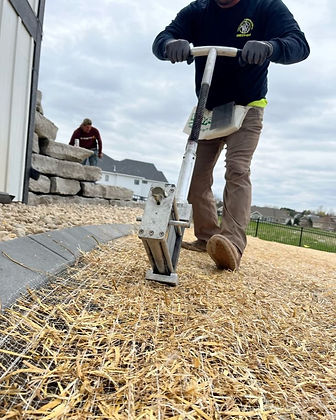 Wasp Sod Staple Gun Rental (2)