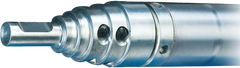 Mole Rental 3