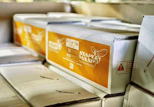 Sod Staples , Collated for Staple Wasp, Box/1000 (1)