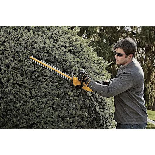 Hedge Trimmer Rental, Cordless 22" (2)