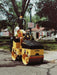 Rent a Yard Roller Packer, Ride On, 2 Drum, 3,150  Lb. Impact (0)