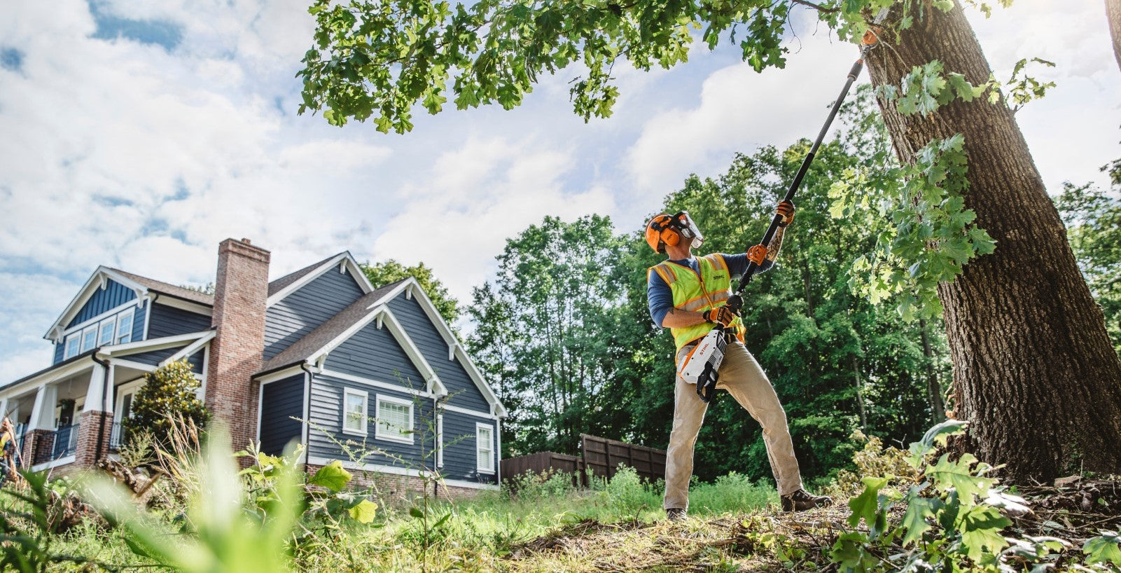 Pole-Pruner-HT131-HTA85-Stihl-tree