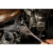 alternate_image